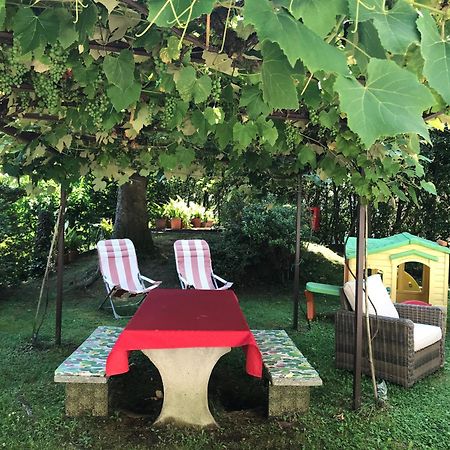 Villa Ombrosa Nebbiuno Εξωτερικό φωτογραφία