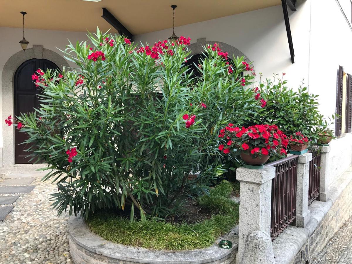 Villa Ombrosa Nebbiuno Εξωτερικό φωτογραφία